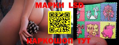 спайс Аргун