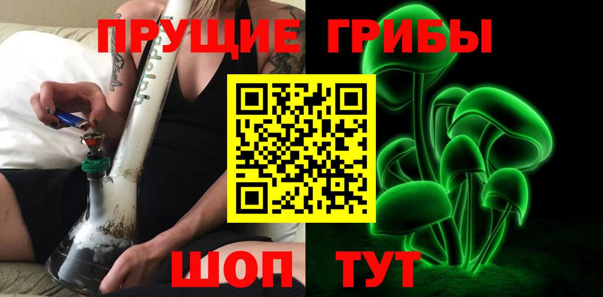 Вышний Волочёк  наркота  Галлюциногенные грибы MAGIC MUSHROOMS  Вход с VPN  Галлюциногенные грибы Psilocybine cubensis 